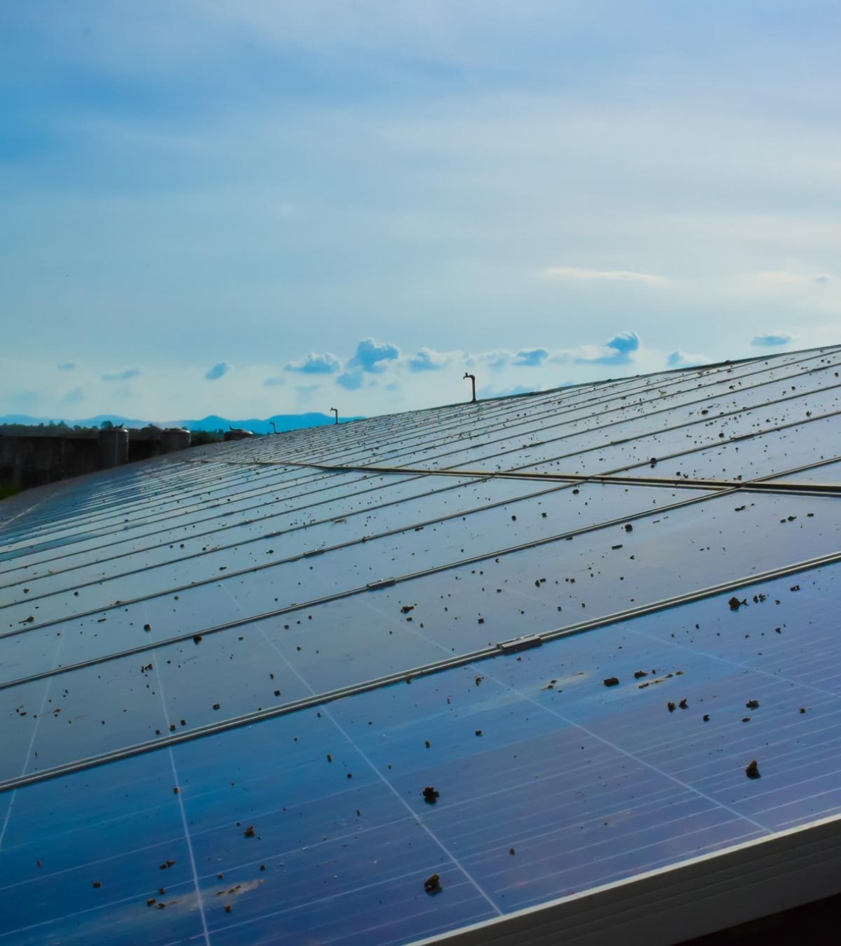 Solar Panel Surveys & Inspections | Cheshire